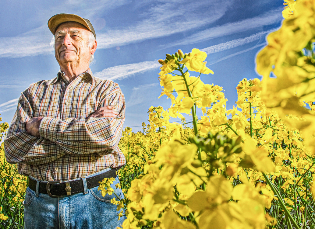 Man in Canola Field