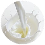 Dairy Cheese and Butter Replacement - Fat Fills